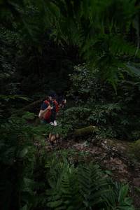 BIB: 5033, 281
                            <button type="button" onclick="openModal(16029914)" class="btn btn-primary btn-sm float-right btn-popup" data-toggle="modal" data-target=".modal-high-quality">
                        <i class="fas fa-shopping-cart"></i> Add to Cart
                    </button>
                                            <button type="button" onclick="isThisMe(16029914, true)" class="btn btn-success btn-sm float-right btn-popup btn-isme hidden" data-toggle="tooltip" data-placement="bottom" title="นี่คือรูปของคุณใช่ไหม คลิกที่นี่เพื่อเอาเข้าอัลบั้ม">
                        <i class="fas fa-plus"></i> Add to album
                    </button>
                    <button type="button" onclick="isThisMe(16029914, false)" class="btn btn-warning btn-sm float-right btn-popup btn-isnotme hidden">
                        <i class="fas fa-ban"></i> Remove from album
                    </button>